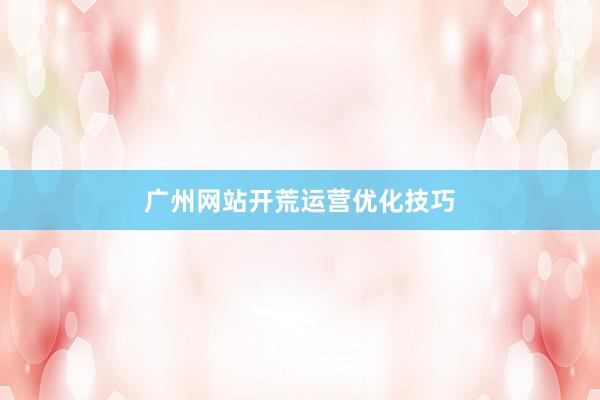 广州网站开荒运营优化技巧