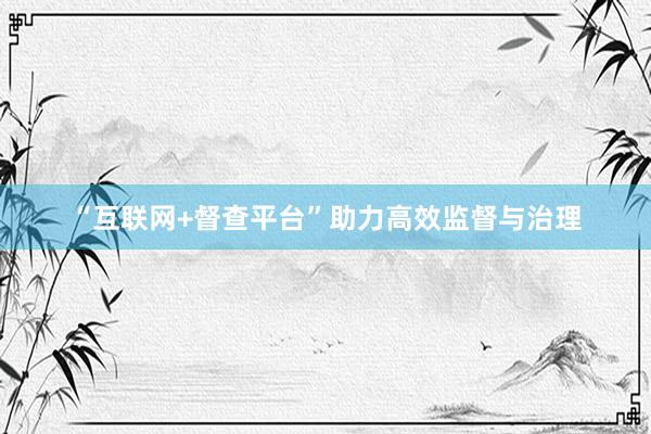 “互联网+督查平台”助力高效监督与治理
