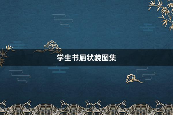 学生书厨状貌图集