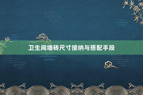 卫生间墙砖尺寸接纳与搭配手段